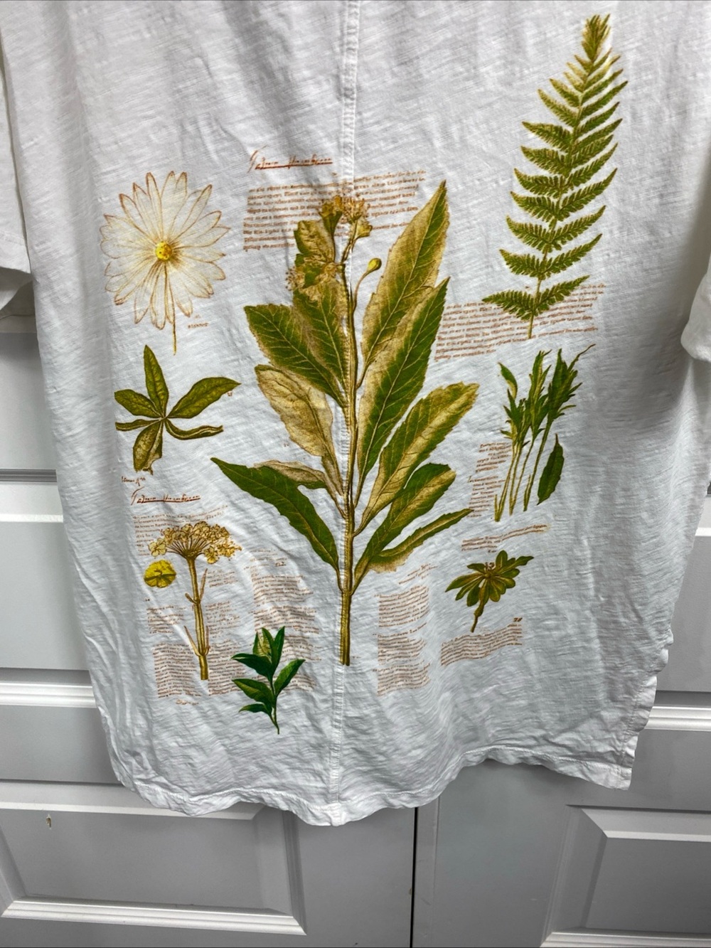 Pilcro Anthropologie Floral Botanical T Shirt Small Cotton Oversized Spring - Picture 7 of 8